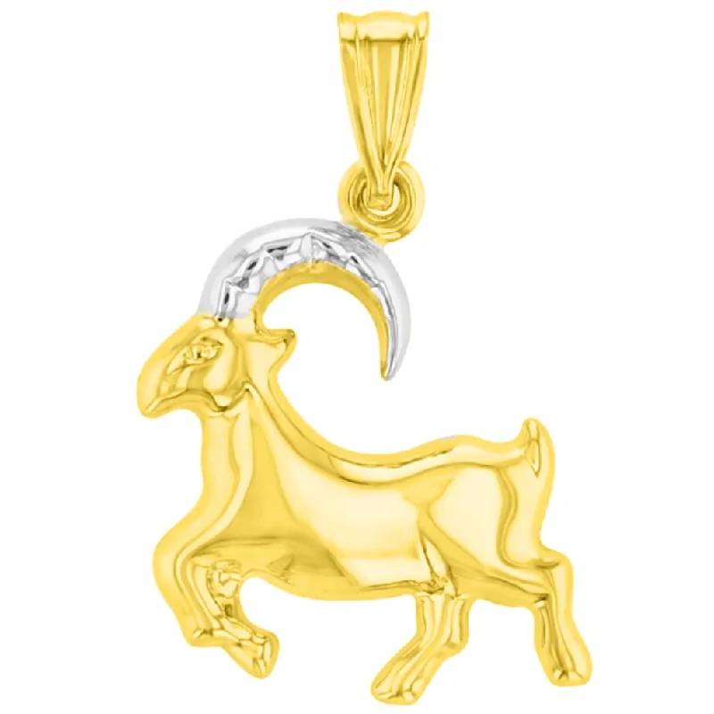 women modern necklaces -High Polish 14K Gold Capricorn Zodiac Sign Charm Pendant - Yellow Gold